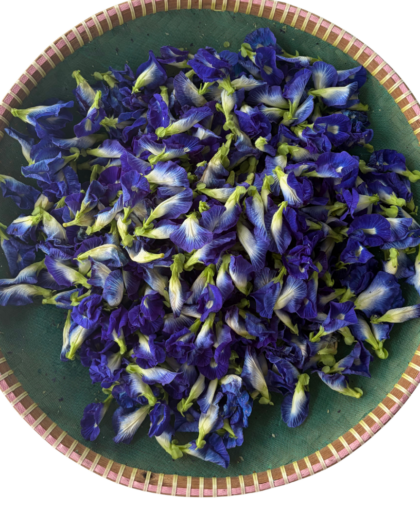 A wholesale 1 lb bag of Butterfly Pea Flower, featuring dried blue petals used for herbal tea, cocktails, and culinary creations.