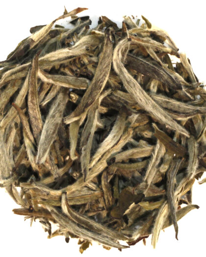 A wholesale 1 lb bag of King of Silver Needles white tea, featuring downy silver buds prized for their smooth, refined flavor.