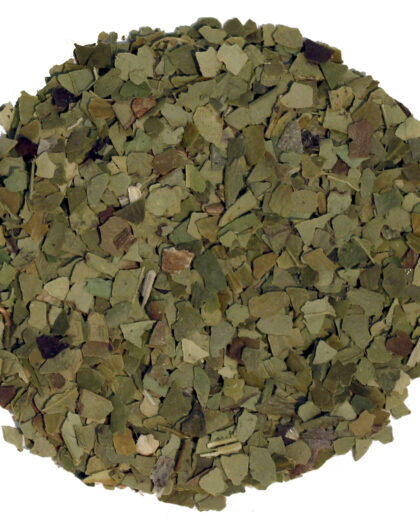 A wholesale 1 lb bag of Organic Green Yerba Maté, featuring loose leaf maté with vibrant green color and naturally energizing profile.