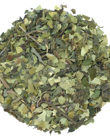 A wholesale 1 lb bag of Organic Mo’Rockin Yerba Maté, featuring loose leaf yerba maté blended with refreshing peppermint.